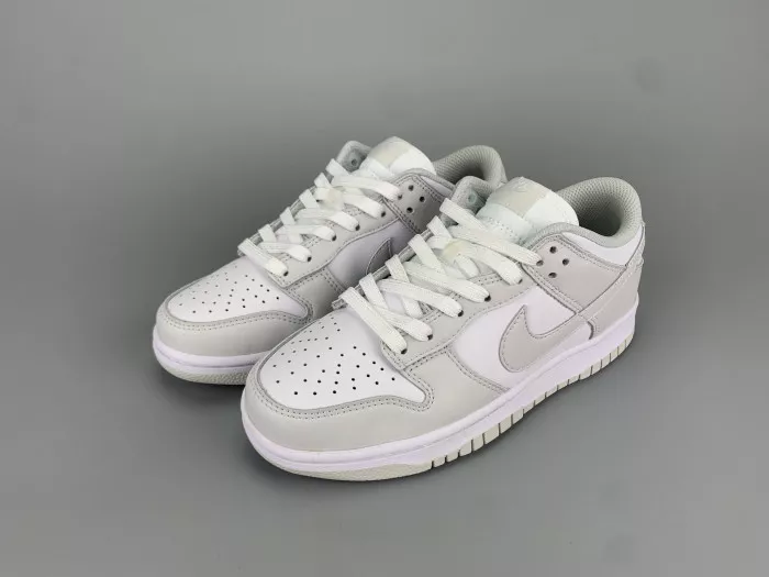 Nike Dunk Low Photon Dust (W) DD1503-103 0116