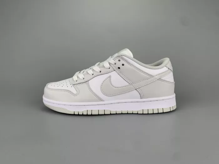 Nike Dunk Low Photon Dust (W) DD1503-103 0116