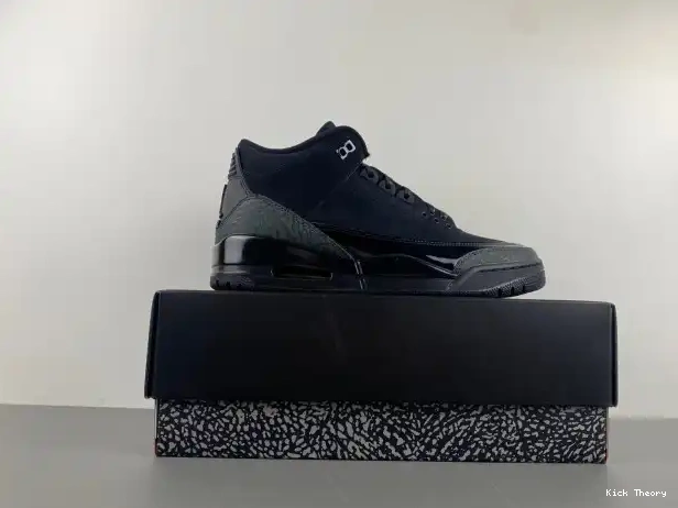 Kick Theory Cat 3 Black Air Jordan CT8532-001 0213